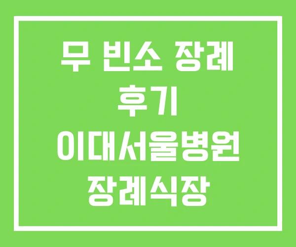 무 빈소 장례 후기 이대서울병원 장례식장