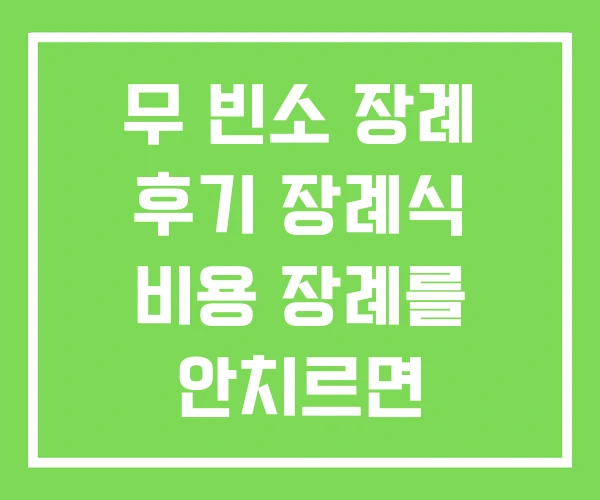 무 빈소 장례 후기 장례식 비용 장례를 안치르면 무 빈소 장례 후기 장례식 비용 장례를 안치르면