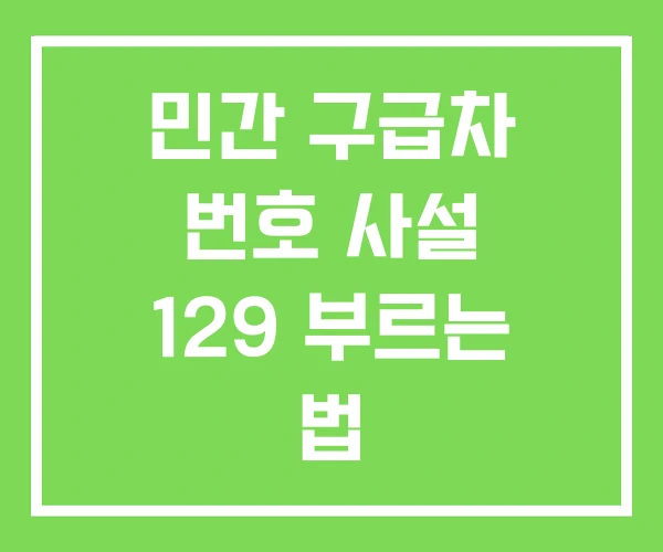 민간 구급차 번호 사설 129 부르는 법 민간 구급차 번호 사설 129 부르는 법