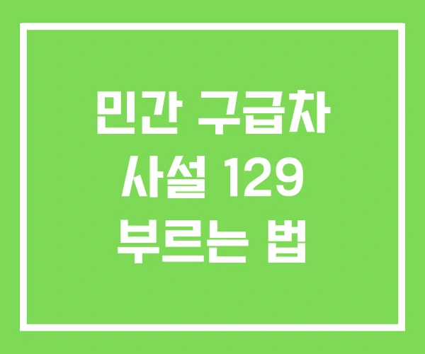 민간 구급차 사설 129 부르는 법