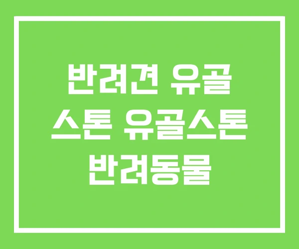 반려견 유골 스톤 유골스톤 반려동물 반려견 유골 스톤 유골스톤 반려동물