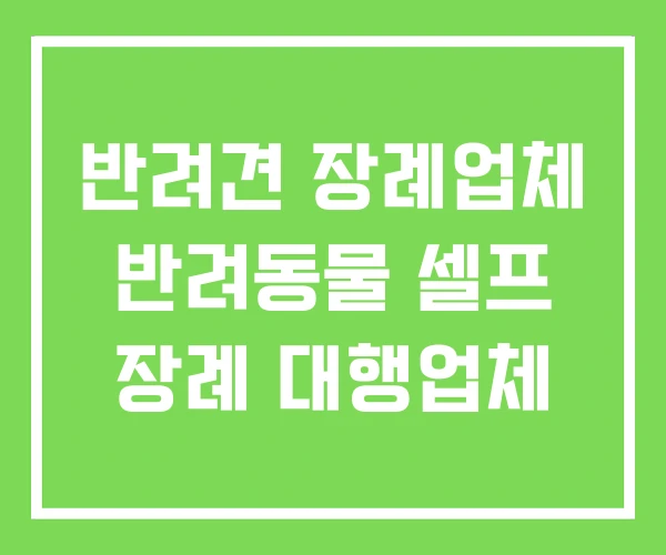 반려견 장례업체 반려동물 셀프 장례 대행업체 반려견 장례업체 반려동물 셀프 장례 대행업체