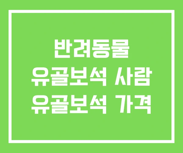 반려동물 유골보석 사람 유골보석 가격 반려동물 유골보석 사람 유골보석 가격