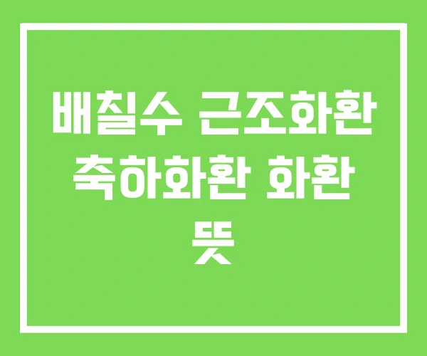 배칠수 근조화환 축하화환 화환 뜻