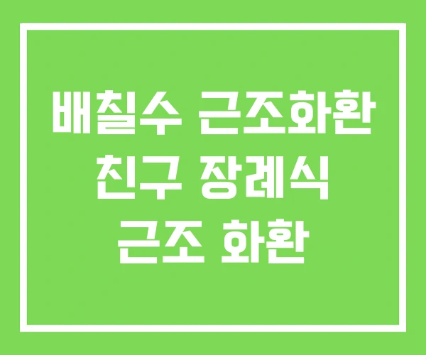 배칠수 근조화환 친구 장례식 근조 화환