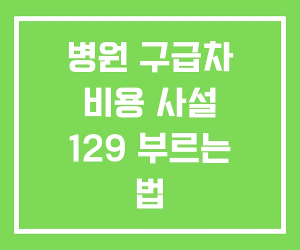 병원 구급차 비용 사설 129 부르는 법