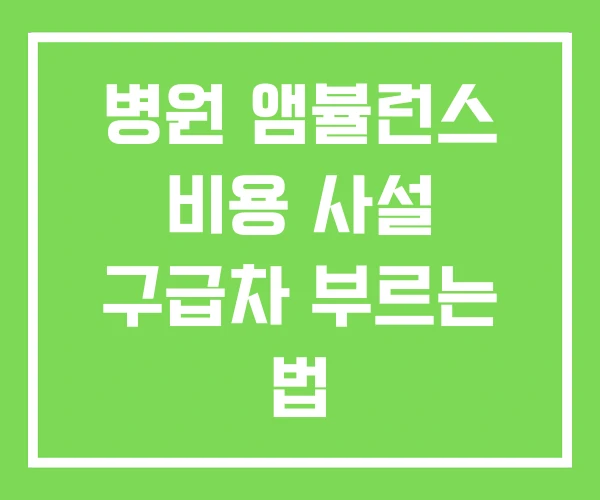 병원 앰뷸런스 비용 사설 구급차 부르는 법 병원 앰뷸런스 비용 사설 구급차 부르는 법