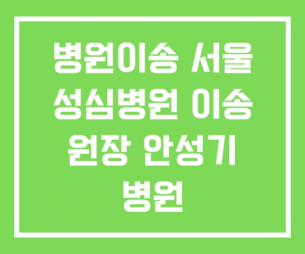 병원이송 서울 성심병원 이송 원장 안성기 병원 병원이송 서울 성심병원 이송 원장 안성기 병원