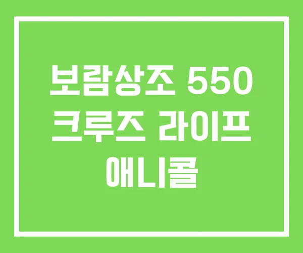 보람상조 550 크루즈 라이프 애니콜