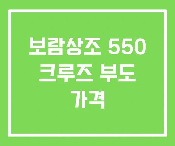 보람상조 550 크루즈 부도 가격 보람상조 550 크루즈 부도 가격