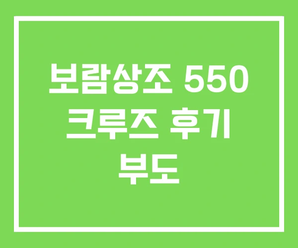 보람상조 550 크루즈 후기 부도 보람상조 550 크루즈 후기 부도