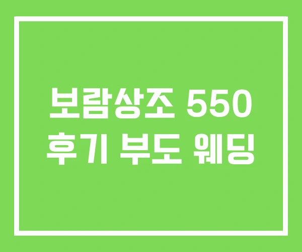 보람상조 550 후기 부도 웨딩 보람상조 550 후기 부도 웨딩