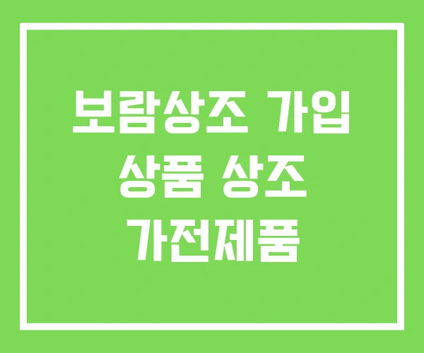 보람상조 가입 상품 상조 가전제품 보람상조 가입 상품 상조 가전제품