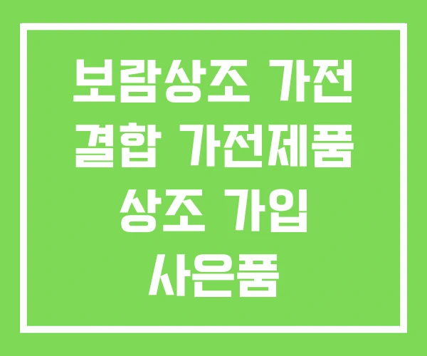 보람상조 가전 결합 가전제품 상조 가입 사은품 보람상조 가전 결합 가전제품 상조 가입 사은품
