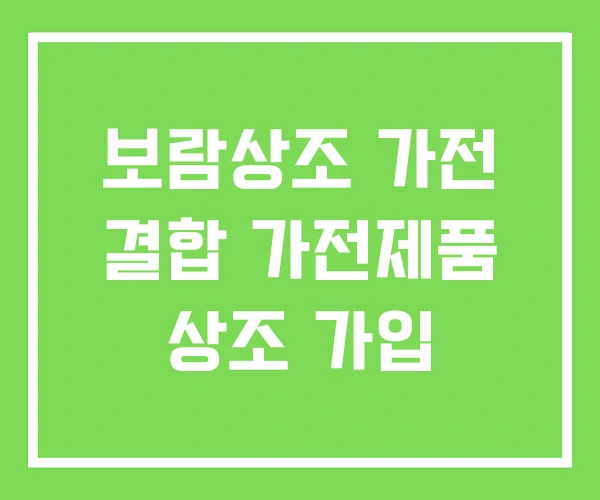 보람상조 가전 결합 가전제품 상조 가입 보람상조 가전 결합 가전제품 상조 가입