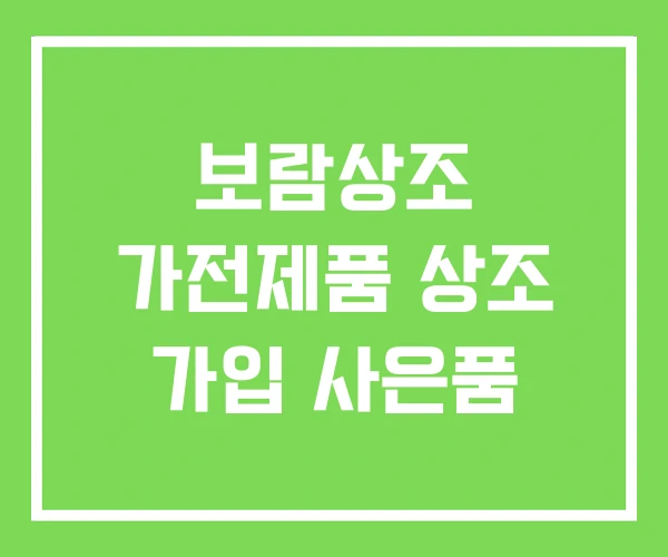 보람상조 가전제품 상조 가입 사은품 보람상조 가전제품 상조 가입 사은품