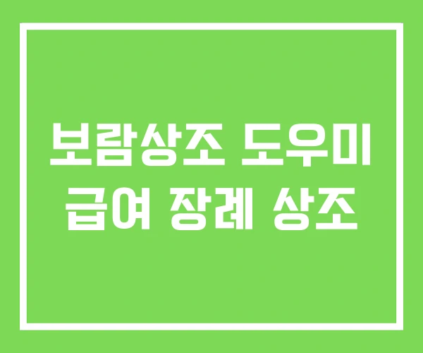 보람상조 도우미 급여 장례 상조