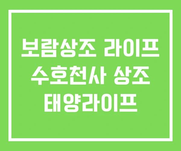 보람상조 라이프 수호천사 상조 태양라이프