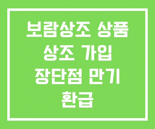 보람상조 상품 상조 가입 장단점 만기 환급 보람상조 상품 상조 가입 장단점 만기 환급