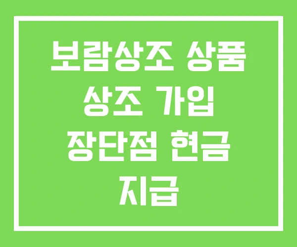 보람상조 상품 상조 가입 장단점 현금 지급