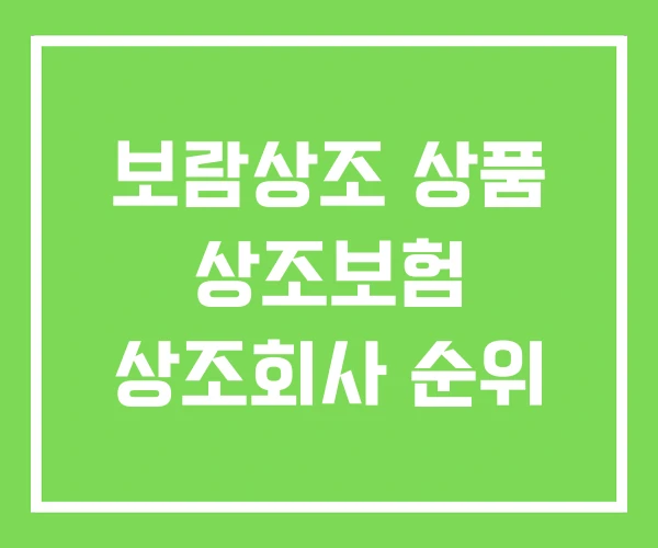 보람상조 상품 상조보험 상조회사 순위