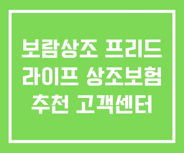 보람상조 프리드 라이프 상조보험 추천 고객센터 보람상조 프리드 라이프 상조보험 추천 고객센터