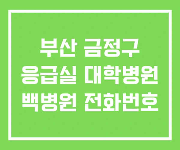 부산 금정구 응급실 대학병원 백병원 전화번호 부산 금정구 응급실 대학병원 백병원 전화번호