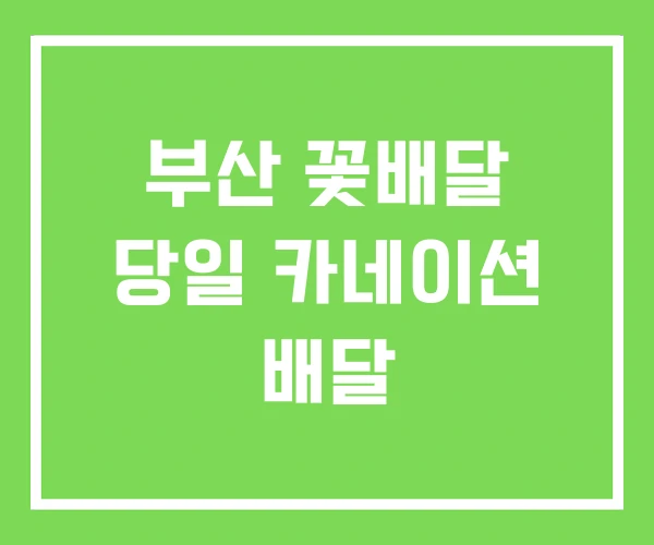 부산 꽃배달 당일 카네이션 배달 부산 꽃배달 당일 카네이션 배달