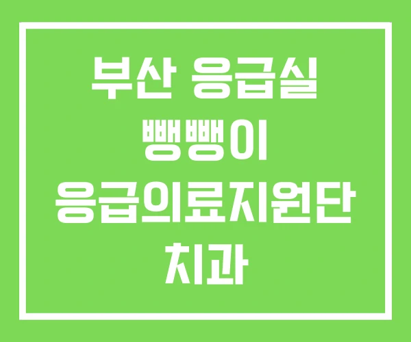 부산 응급실 뺑뺑이 응급의료지원단 치과 부산 응급실 뺑뺑이 응급의료지원단 치과