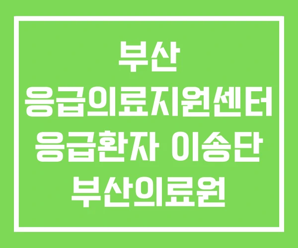 부산 응급의료지원센터 응급환자 이송단 부산의료원 응급실