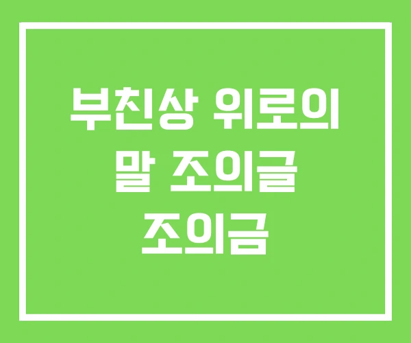 부친상 위로의 말 조의글 조의금