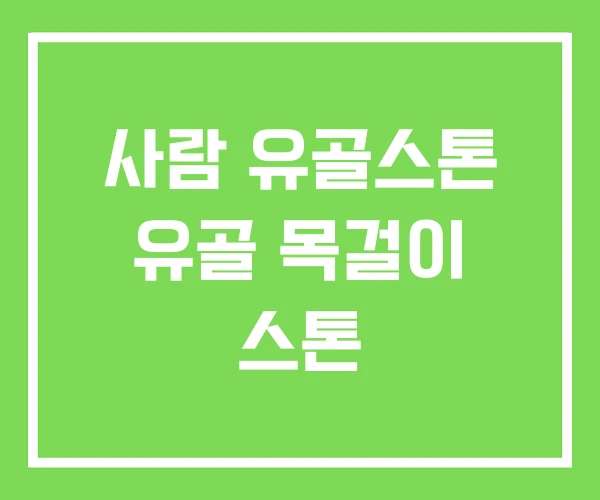 사람 유골스톤 유골 목걸이 스톤