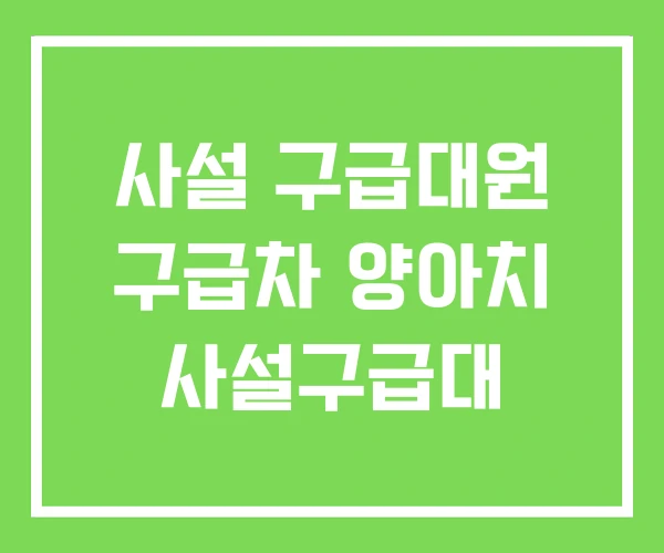 사설 구급대원 구급차 양아치 사설구급대