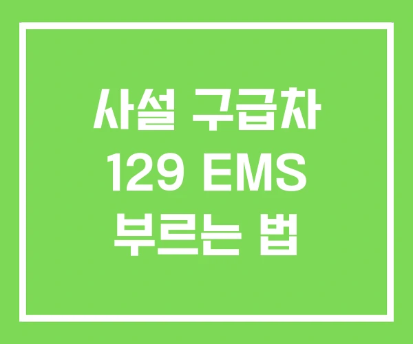 사설 구급차 129 EMS 부르는 법 사설 구급차 129 EMS 부르는 법