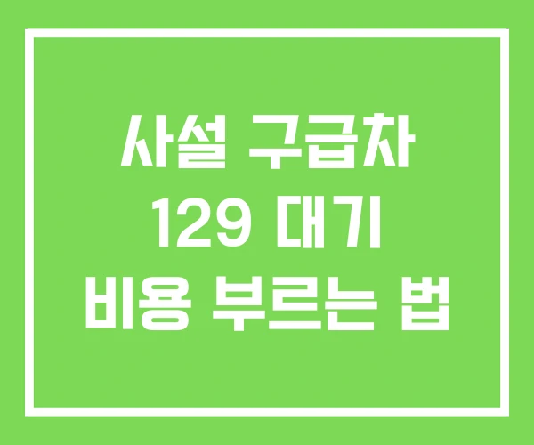 사설 구급차 129 대기 비용 부르는 법