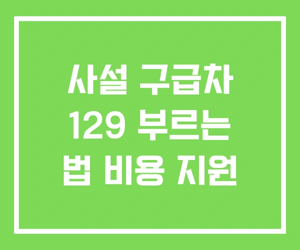 사설 구급차 129 부르는 법 비용 지원