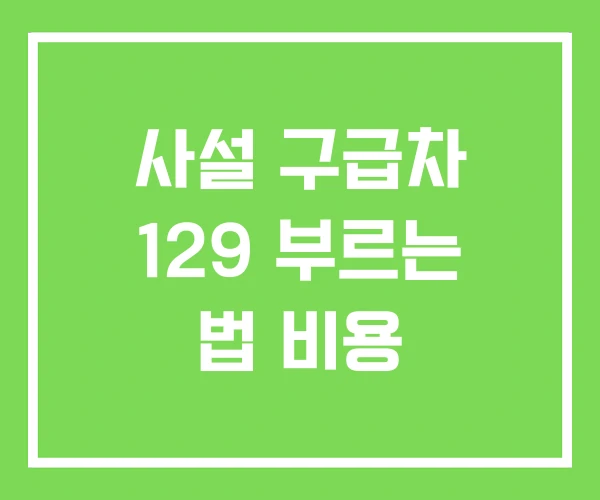 사설 구급차 129 부르는 법 비용 사설 구급차 129 부르는 법 비용