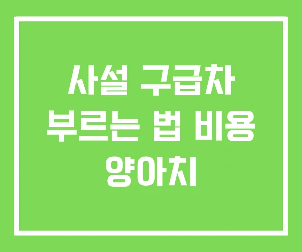 사설 구급차 부르는 법 비용 양아치 사설 구급차 부르는 법 비용 양아치