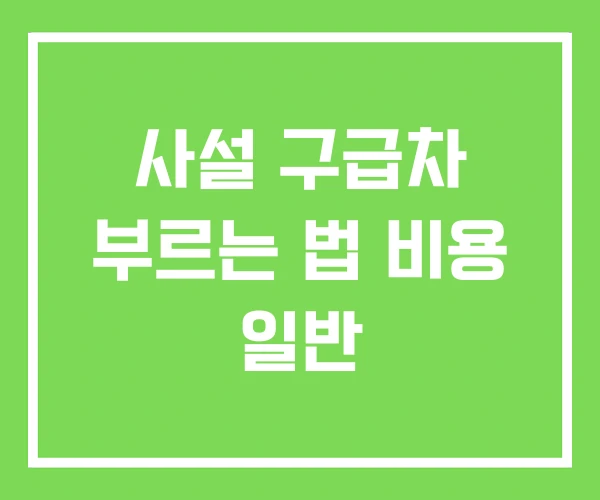 사설 구급차 부르는 법 비용 일반 사설 구급차 부르는 법 비용 일반