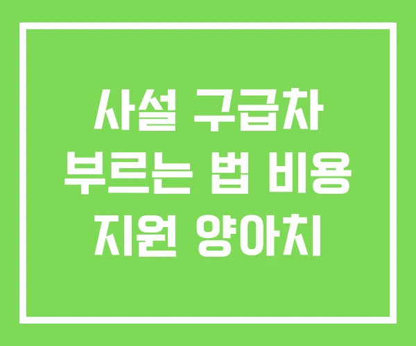 사설 구급차 부르는 법 비용 지원 양아치