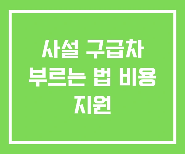 사설 구급차 부르는 법 비용 지원 사설 구급차 부르는 법 비용 지원