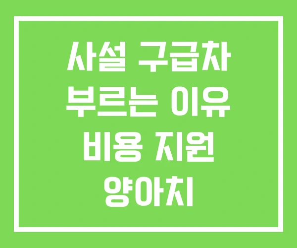 사설 구급차 부르는 이유 비용 지원 양아치