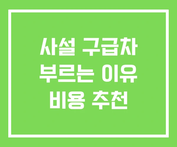사설 구급차 부르는 이유 비용 추천 사설 구급차 부르는 이유 비용 추천