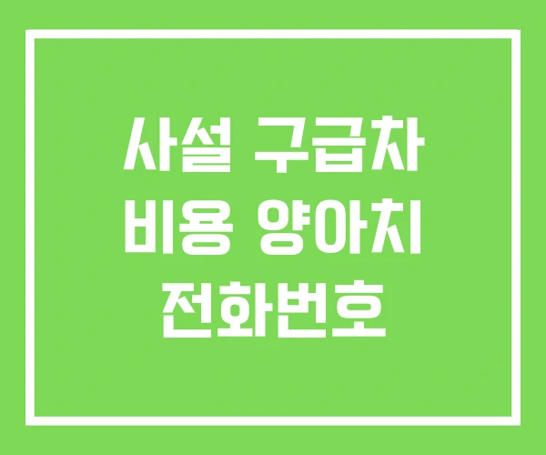사설 구급차 비용 양아치 전화번호