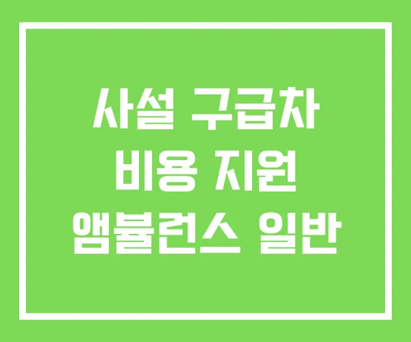 사설 구급차 비용 지원 앰뷸런스 일반 사설 구급차 비용 지원 앰뷸런스 일반