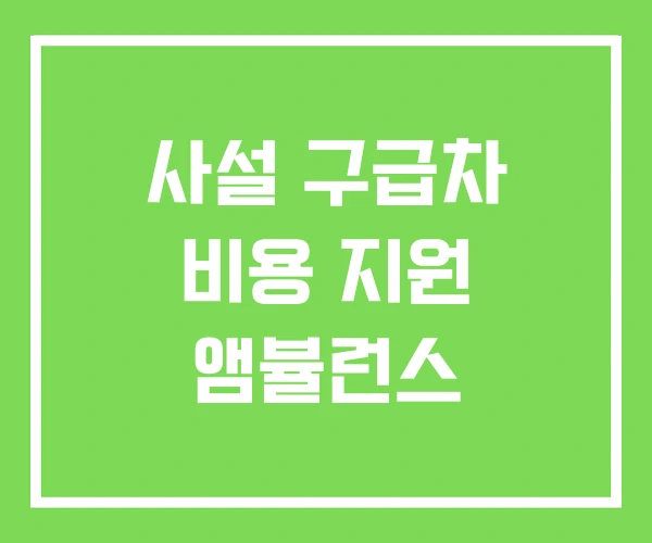 사설 구급차 비용 지원 앰뷸런스