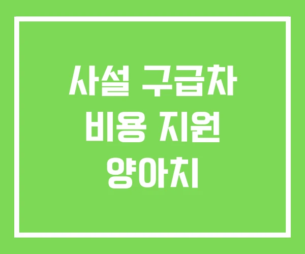 사설 구급차 비용 지원 양아치
