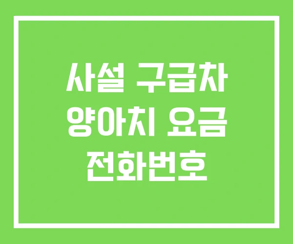 사설 구급차 양아치 요금 전화번호