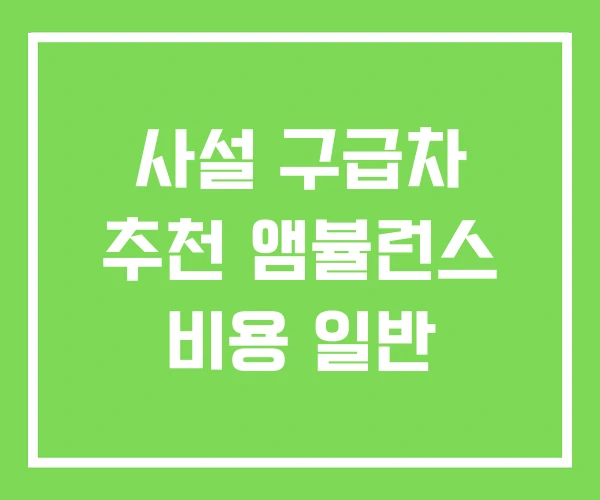 사설 구급차 추천 앰뷸런스 비용 일반 사설 구급차 추천 앰뷸런스 비용 일반
