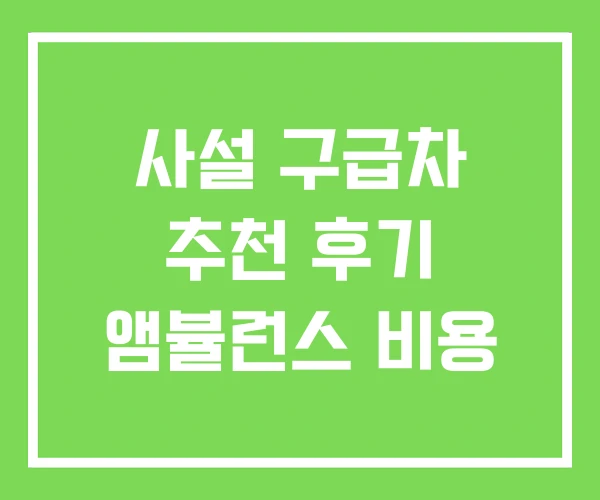 사설 구급차 추천 후기 앰뷸런스 비용 사설 구급차 추천 후기 앰뷸런스 비용